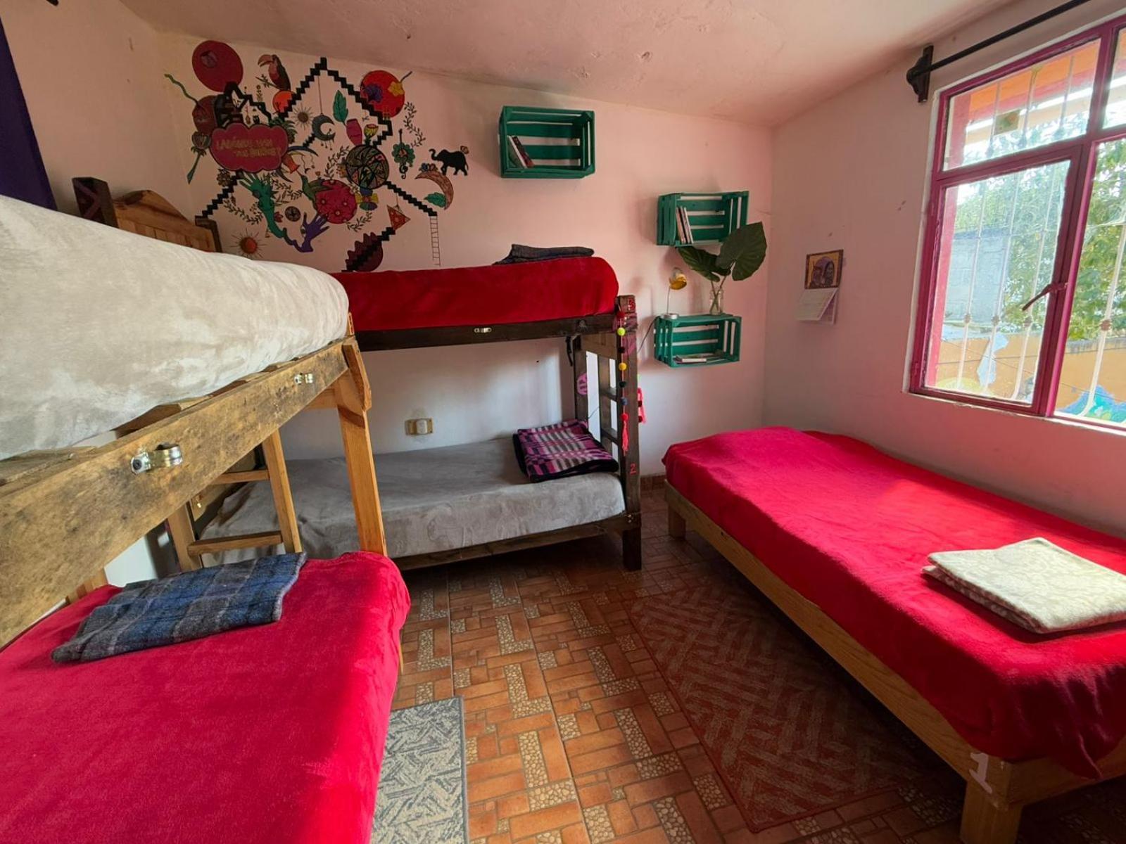 Historika Hostel Cultural San Cristóbal de Las Casas Екстериор снимка
