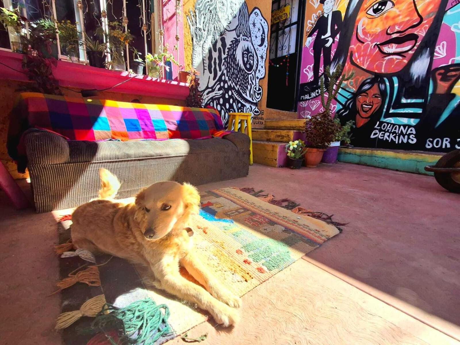 Historika Hostel Cultural San Cristóbal de Las Casas Екстериор снимка